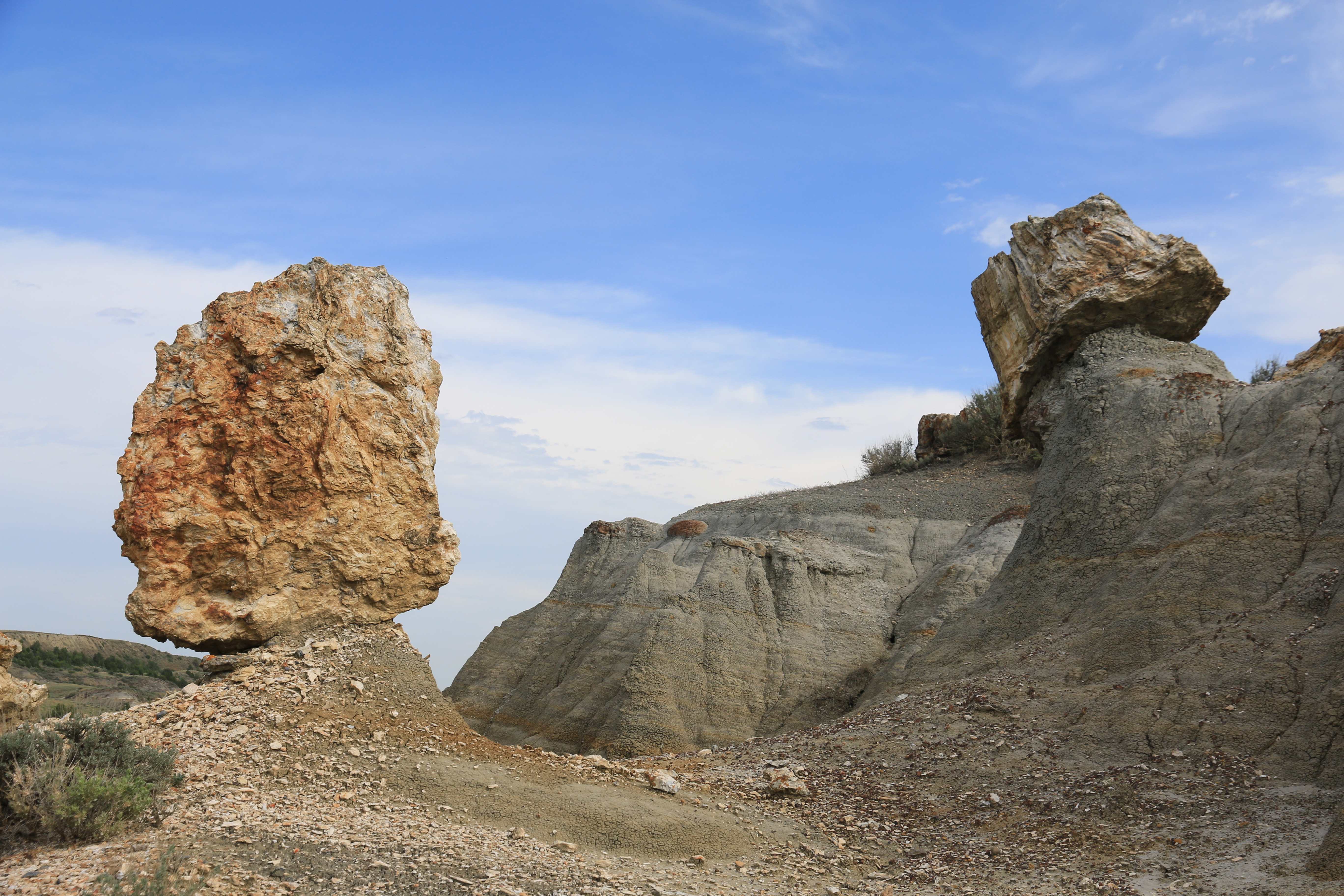 Theodore Roosevelt NP